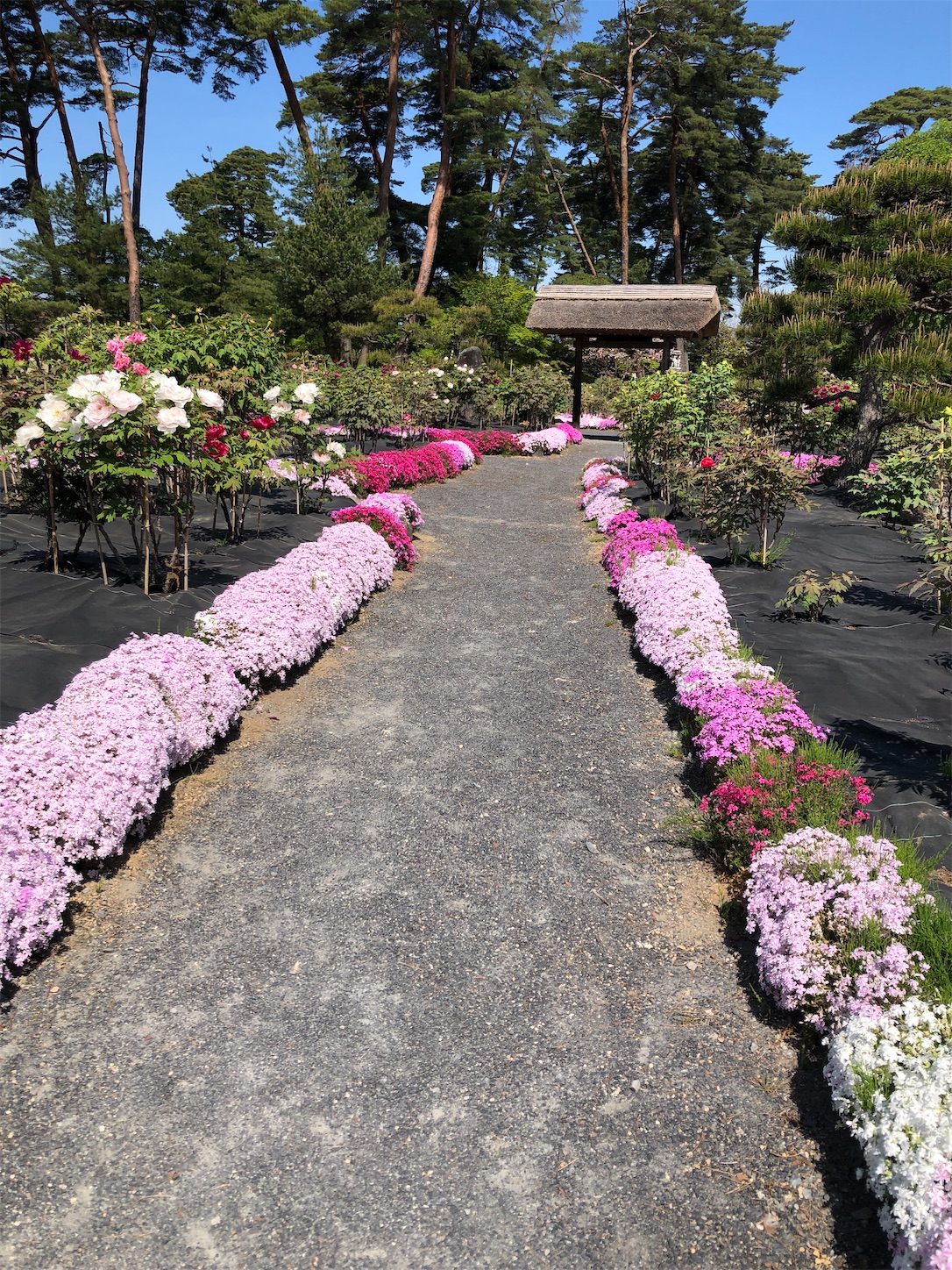 f:id:diving11874tan:20230423142426j:image