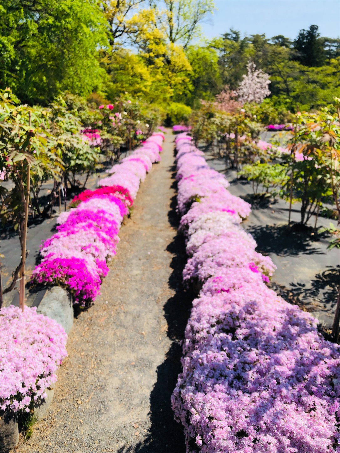 f:id:diving11874tan:20230423142512j:image