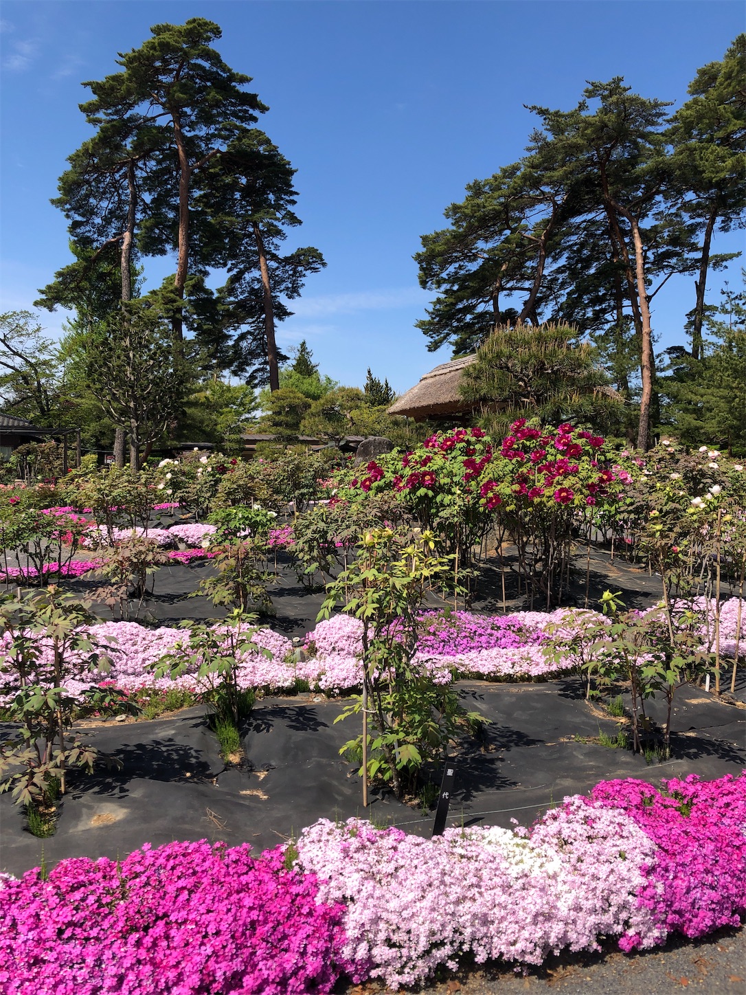 f:id:diving11874tan:20230423142541j:image