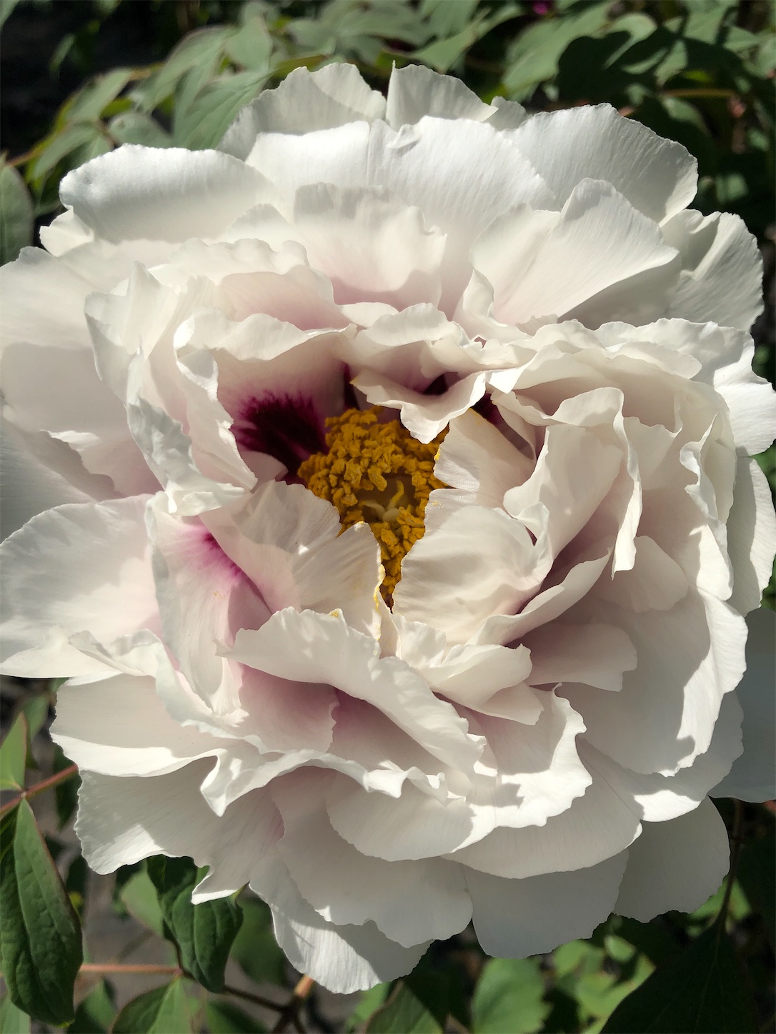 f:id:diving11874tan:20230423142611j:image