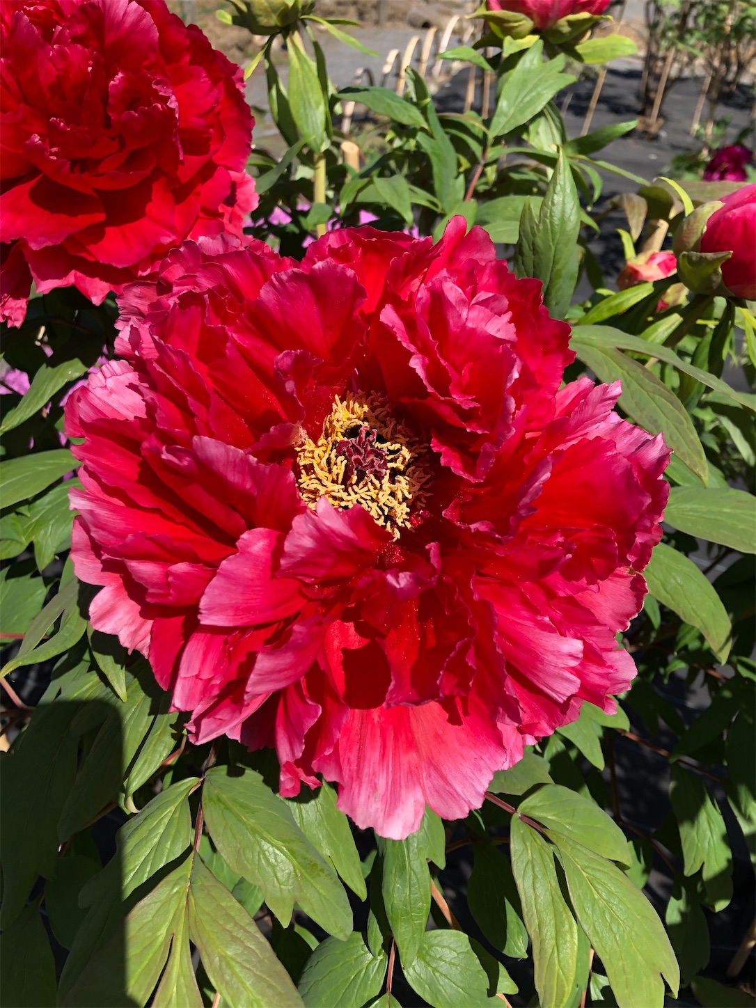 f:id:diving11874tan:20230423142622j:image