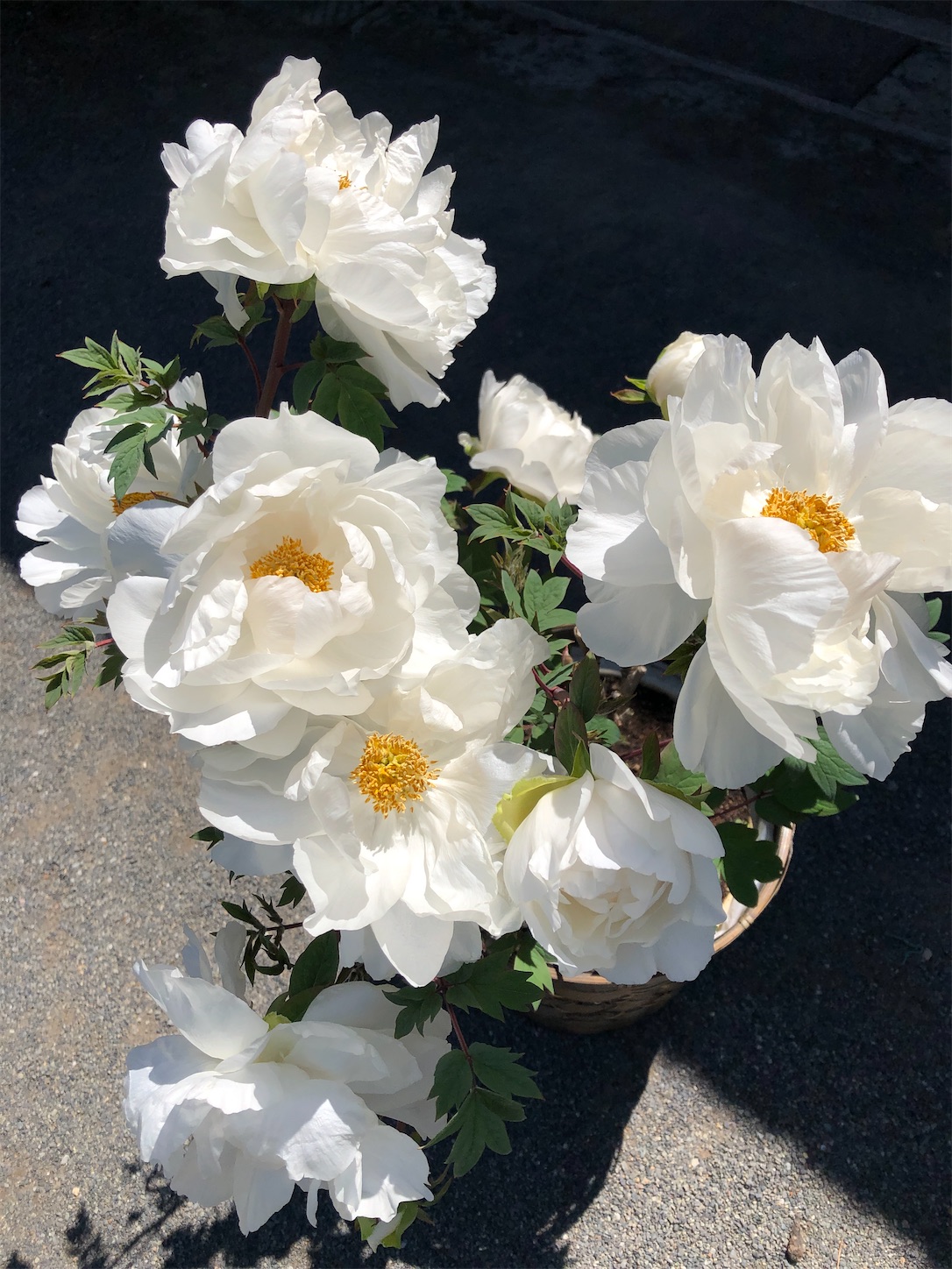 f:id:diving11874tan:20230423142727j:image