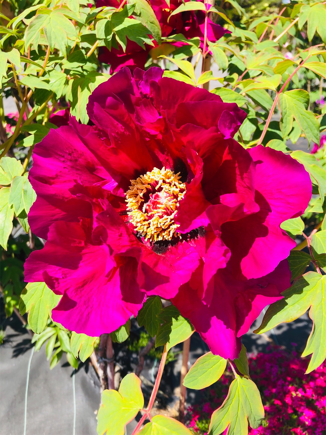 f:id:diving11874tan:20230423142731j:image