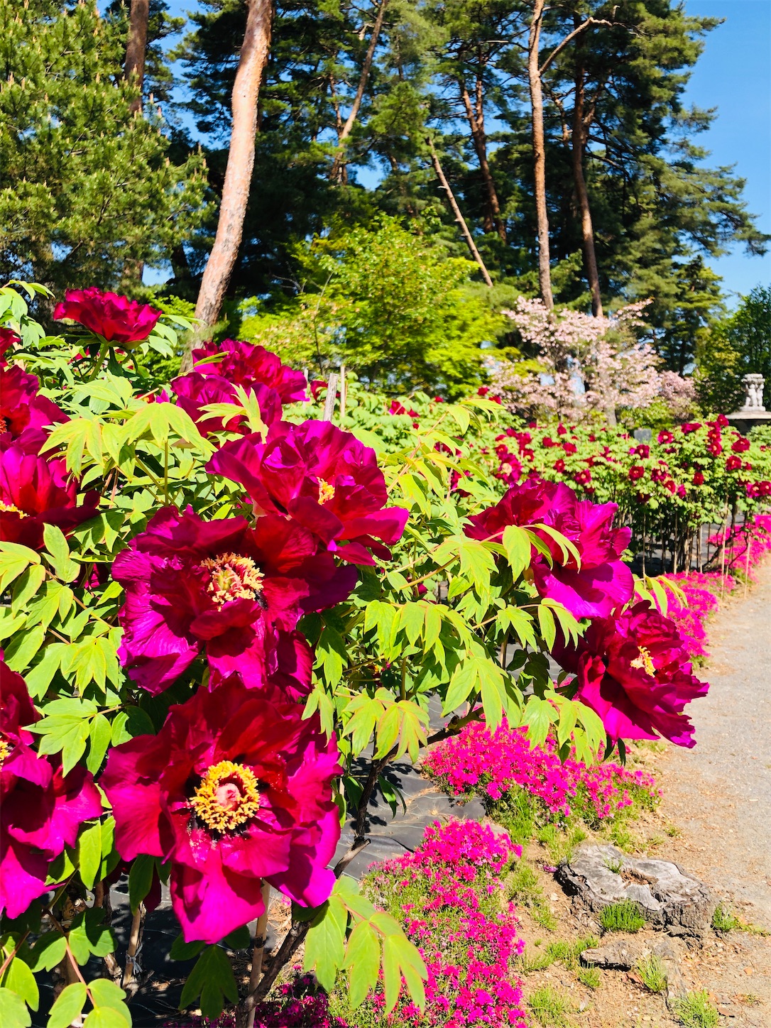 f:id:diving11874tan:20230423142738j:image