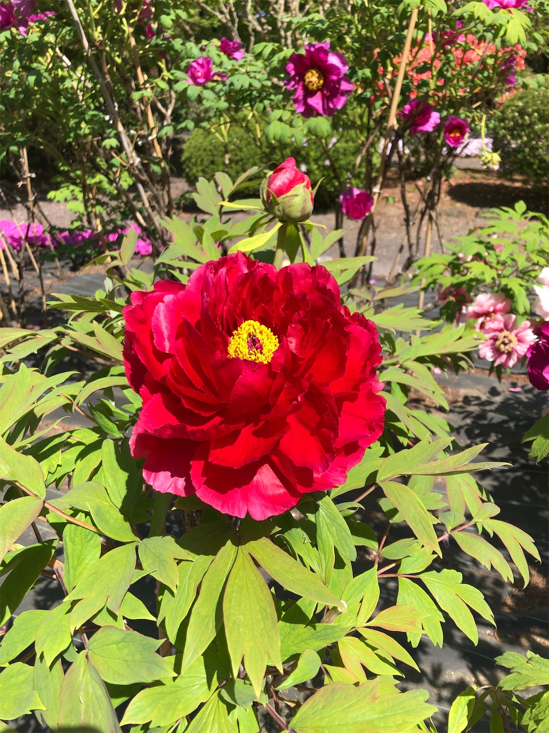 f:id:diving11874tan:20230423142742j:image