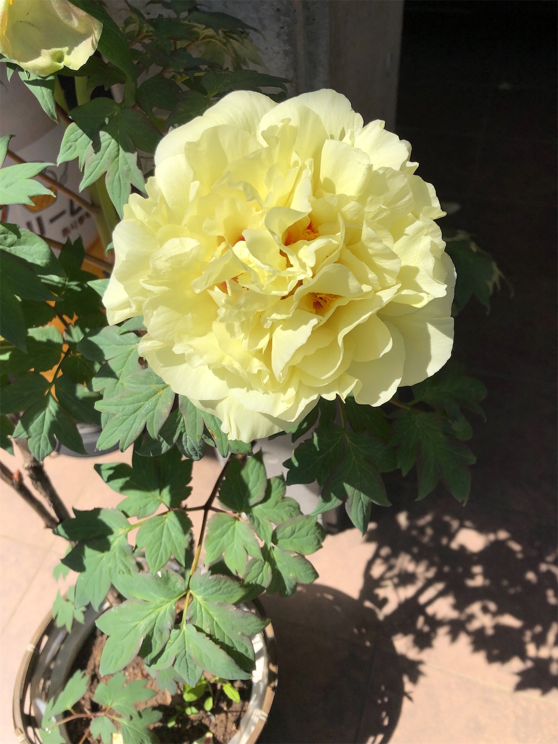 f:id:diving11874tan:20230423142750j:image