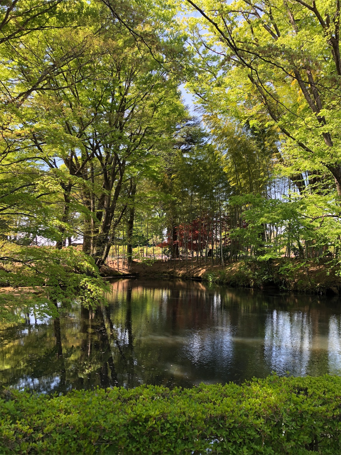 f:id:diving11874tan:20230423143207j:image