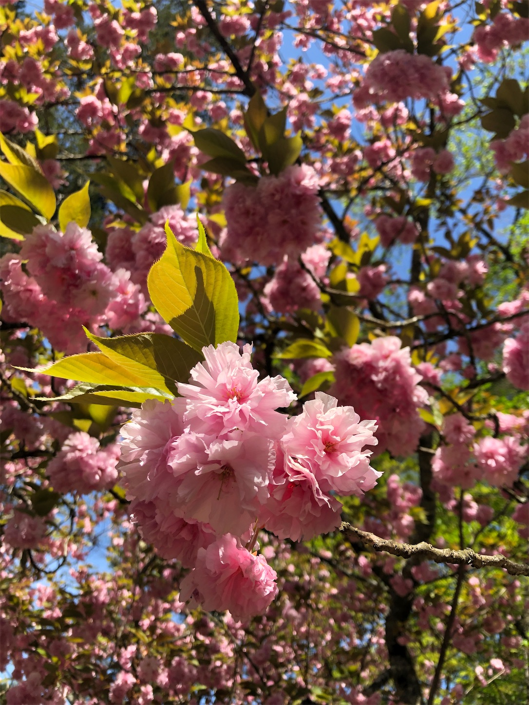 f:id:diving11874tan:20230423143218j:image