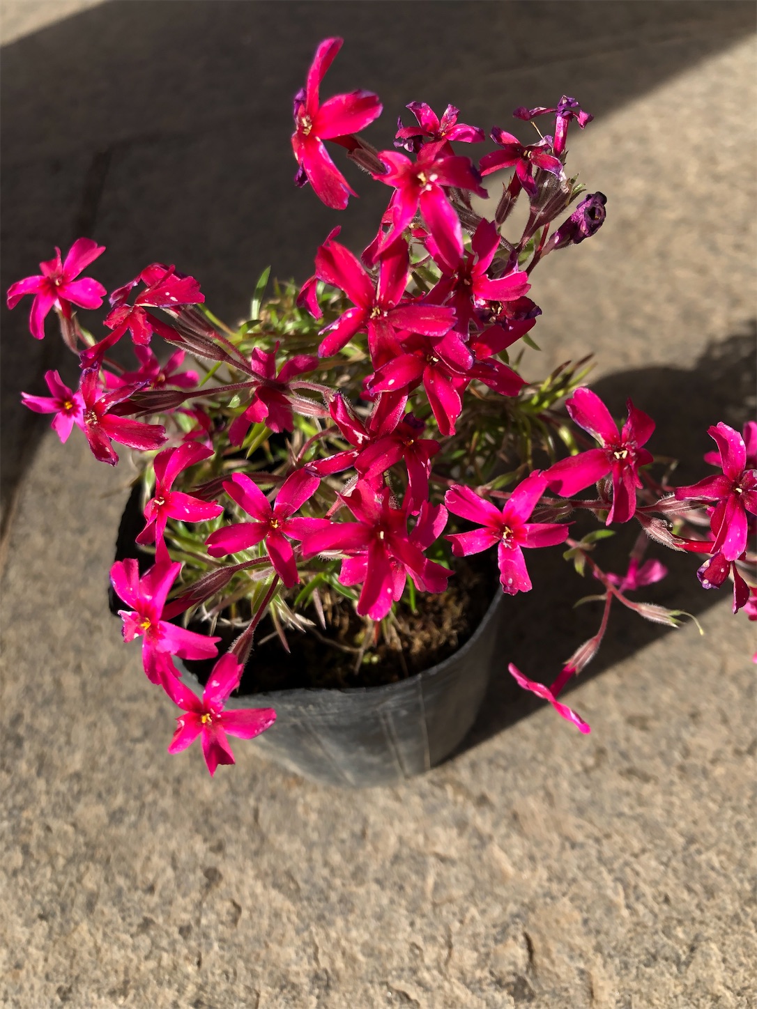 f:id:diving11874tan:20230423152517j:image