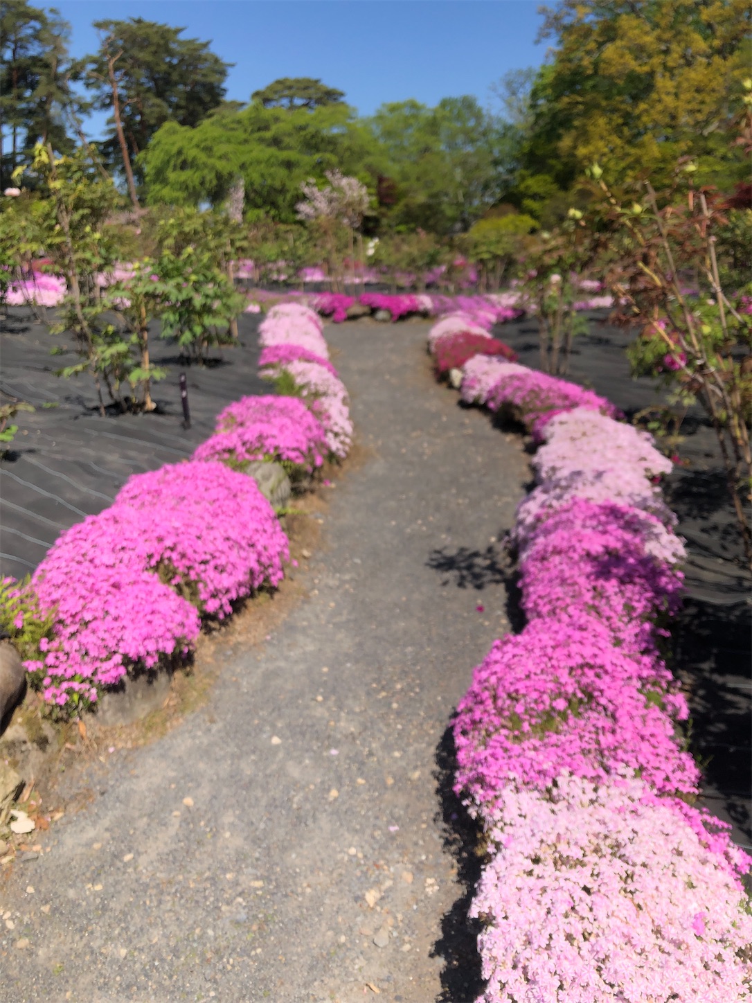 f:id:diving11874tan:20230424043257j:image