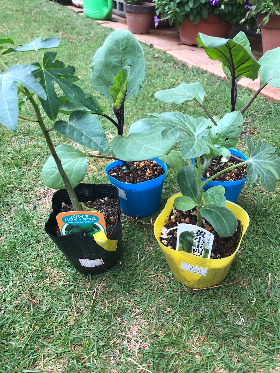 f:id:diving11874tan:20230430152844j:image