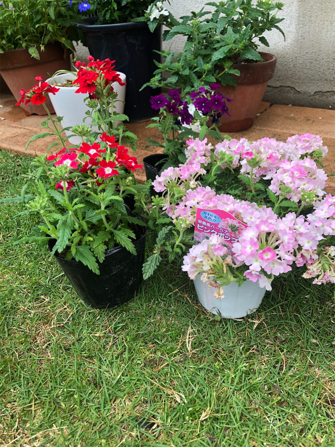 f:id:diving11874tan:20230430154917j:image