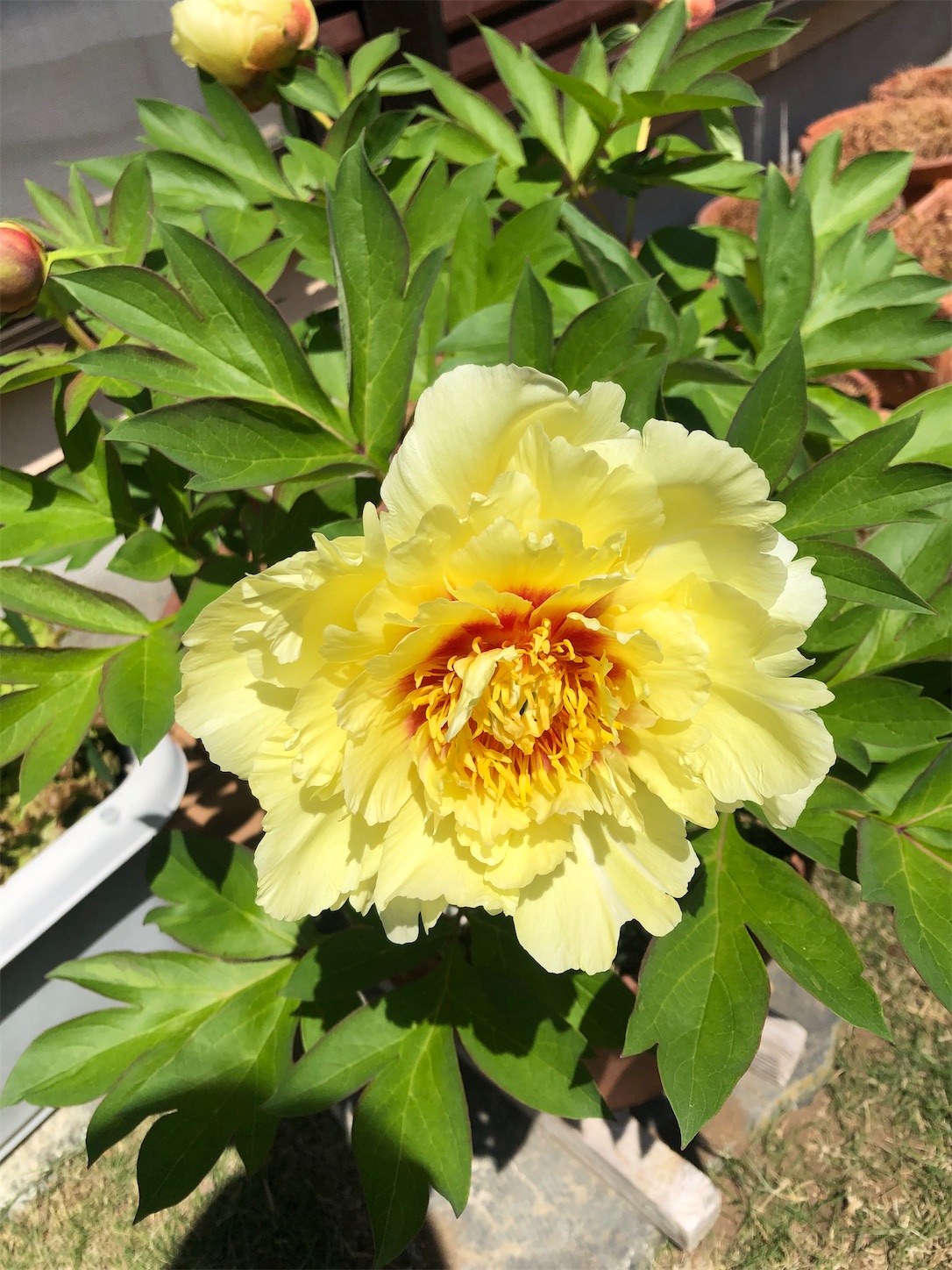 f:id:diving11874tan:20230505090437j:image