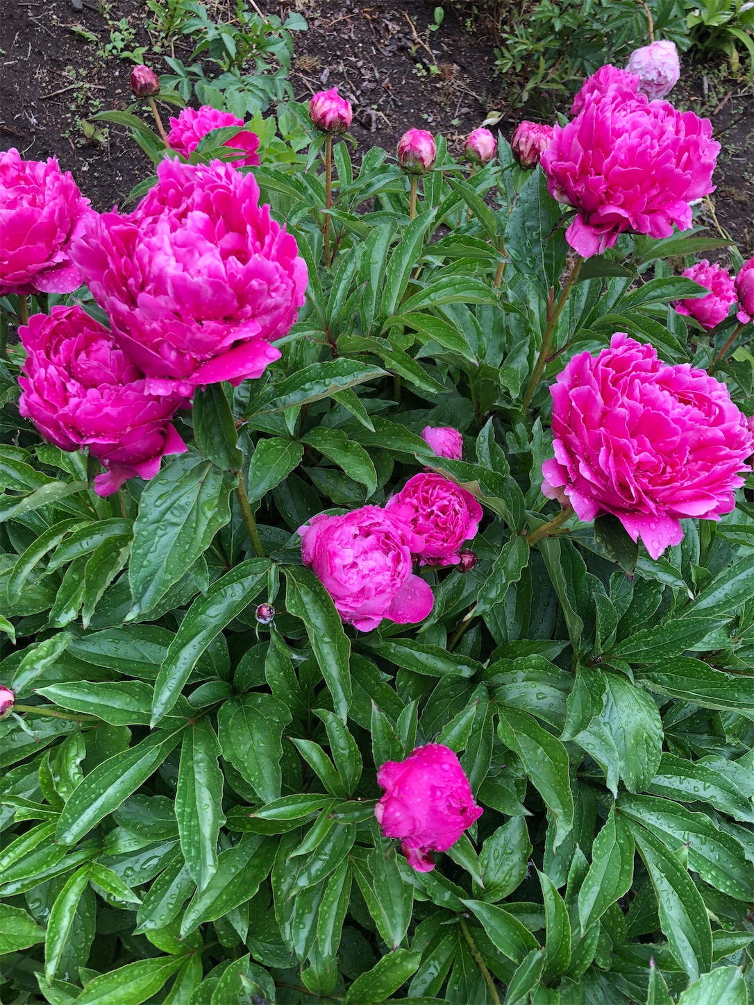 f:id:diving11874tan:20230514044759j:image