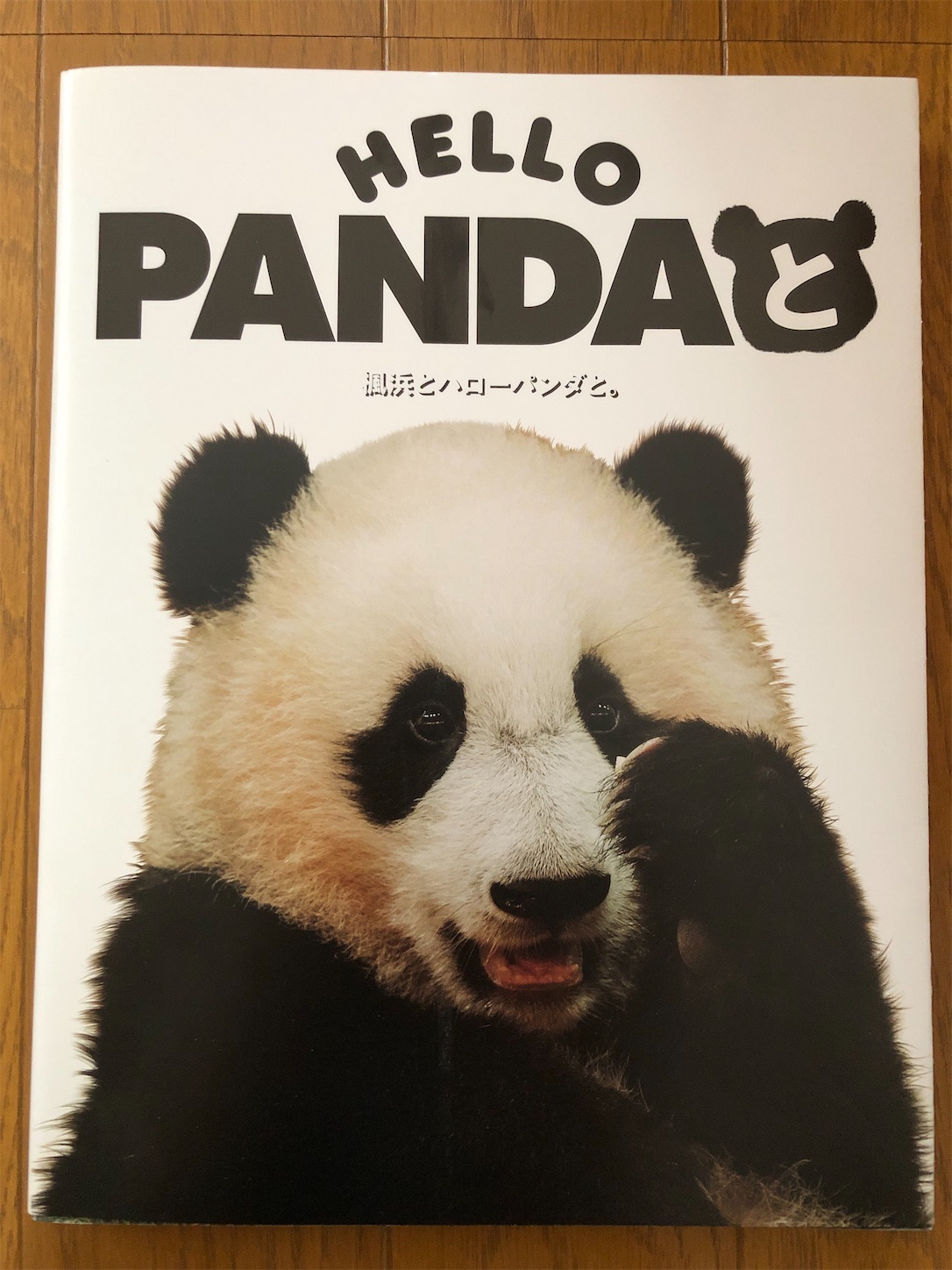 f:id:diving11874tan:20230514044803j:image