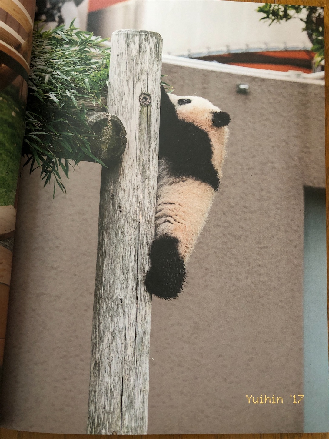 f:id:diving11874tan:20230514044807j:image