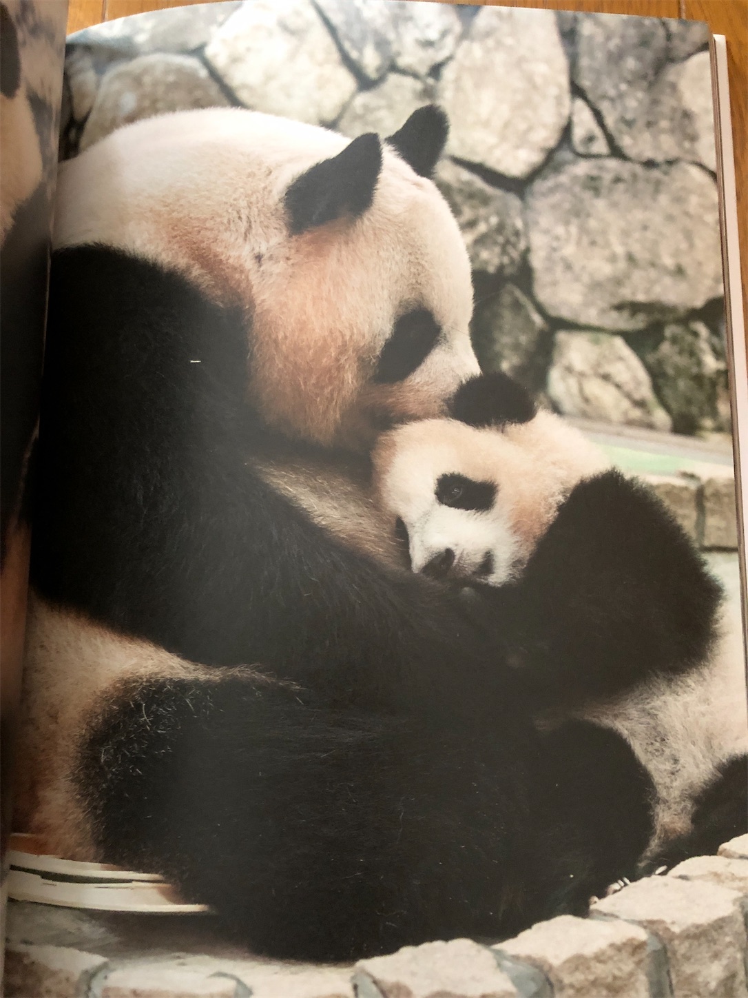 f:id:diving11874tan:20230514044811j:image