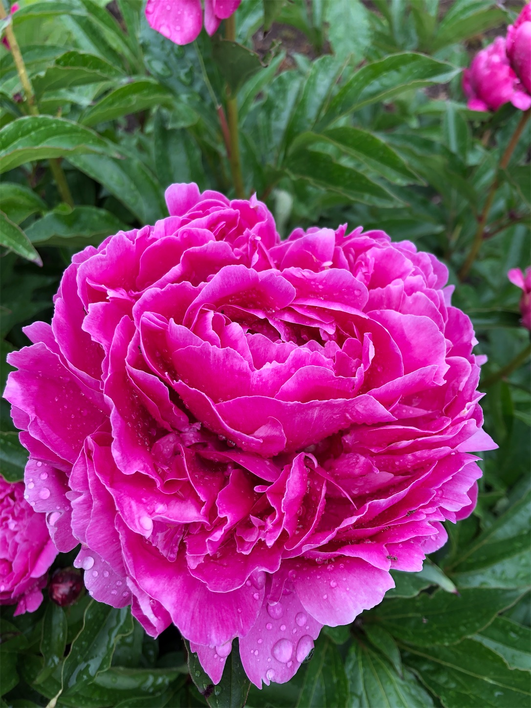 f:id:diving11874tan:20230514044848j:image