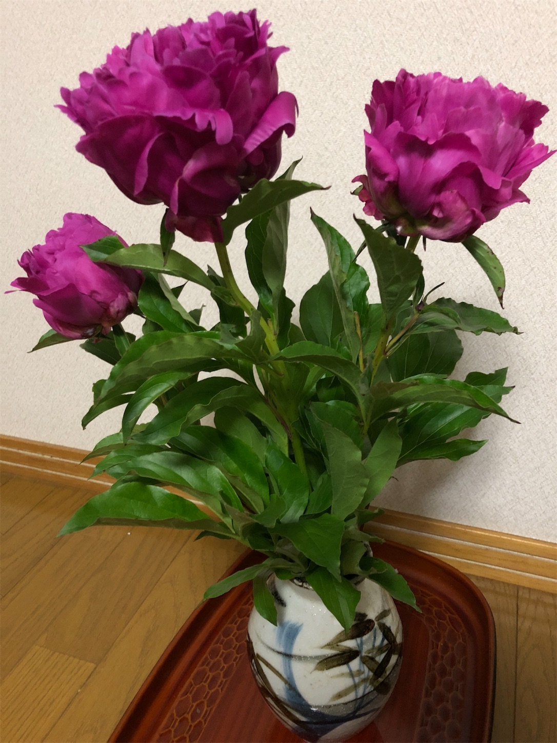 f:id:diving11874tan:20230514045304j:image