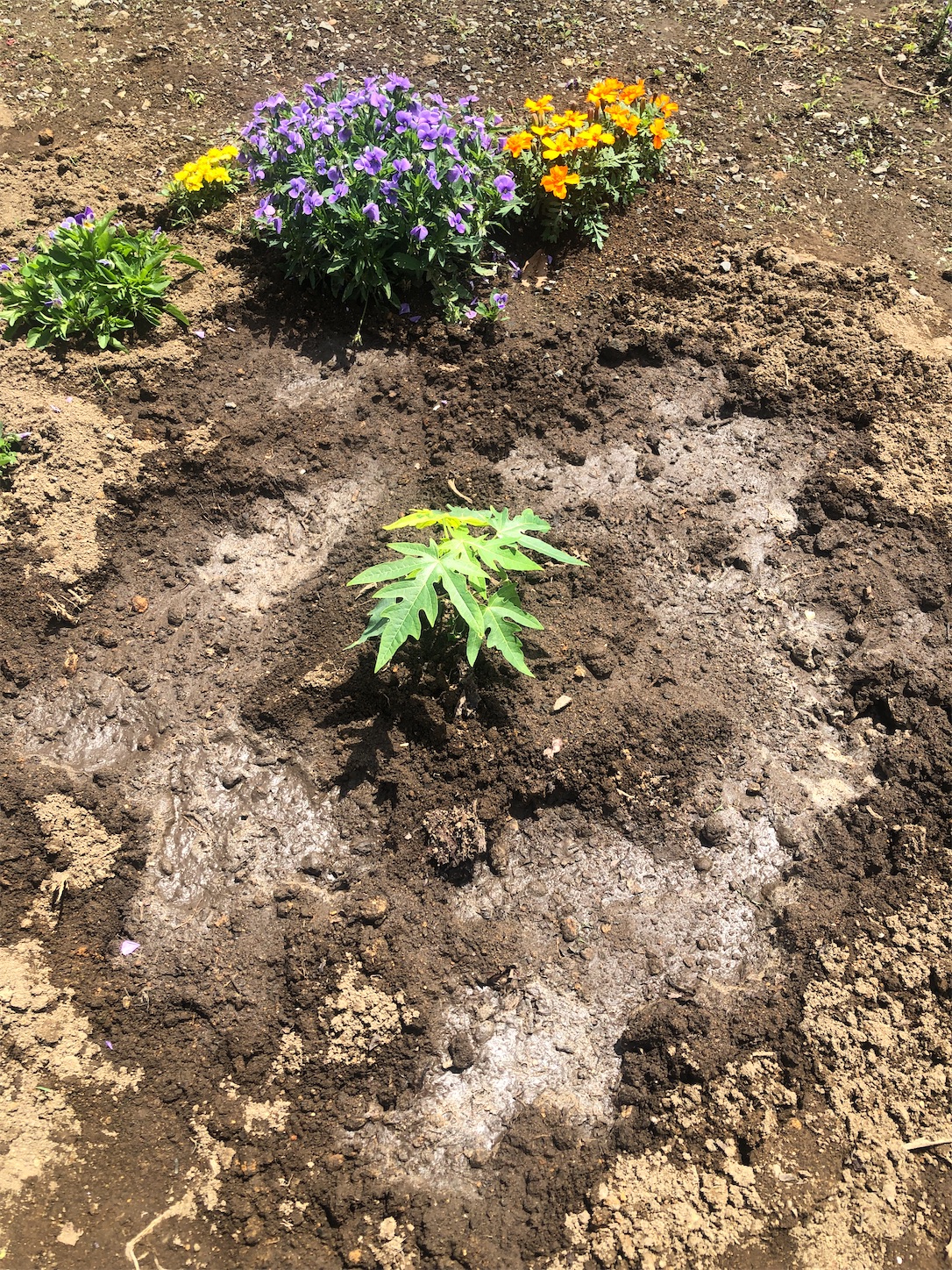 f:id:diving11874tan:20230520135756j:image