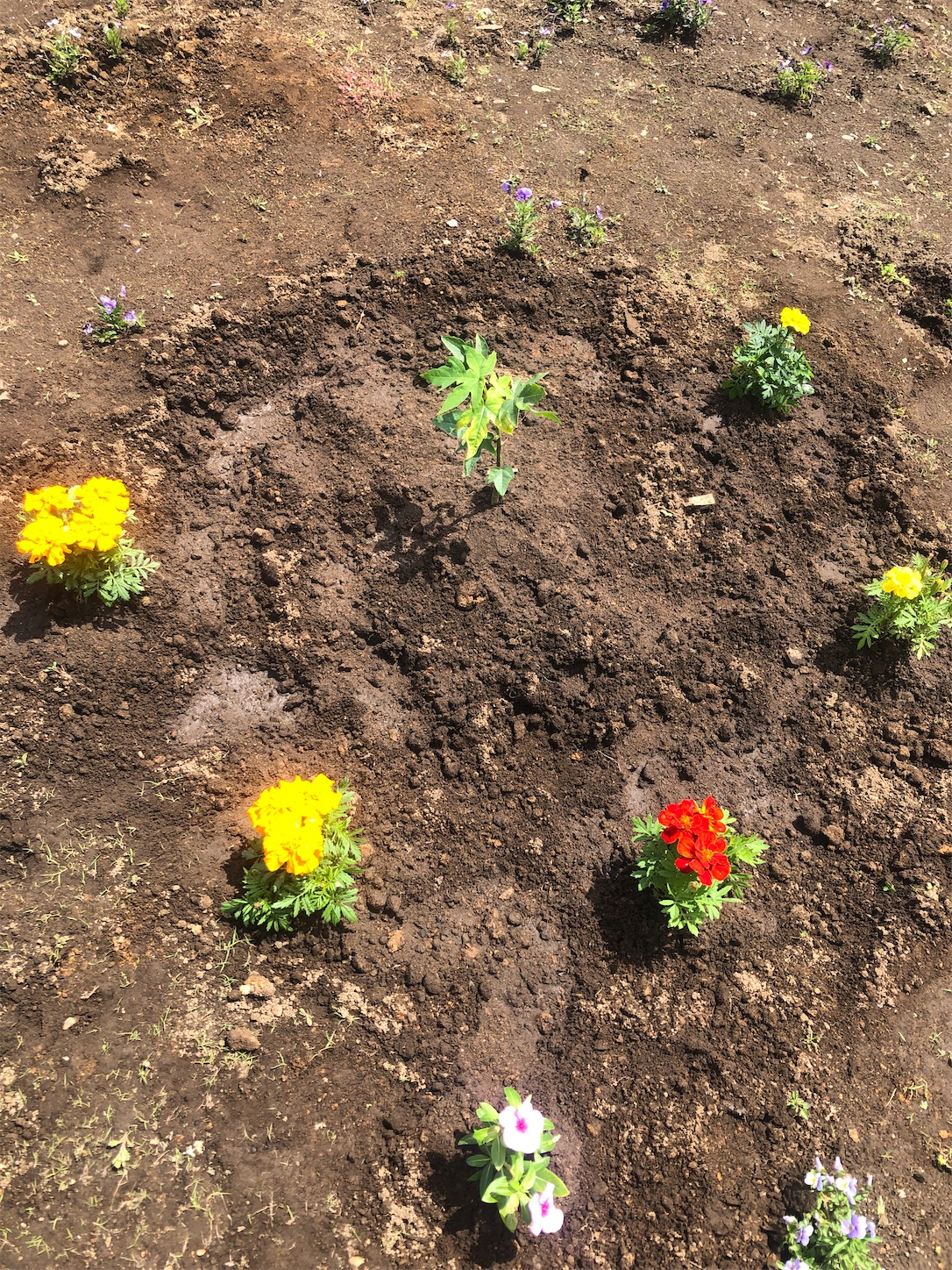 f:id:diving11874tan:20230520135801j:image