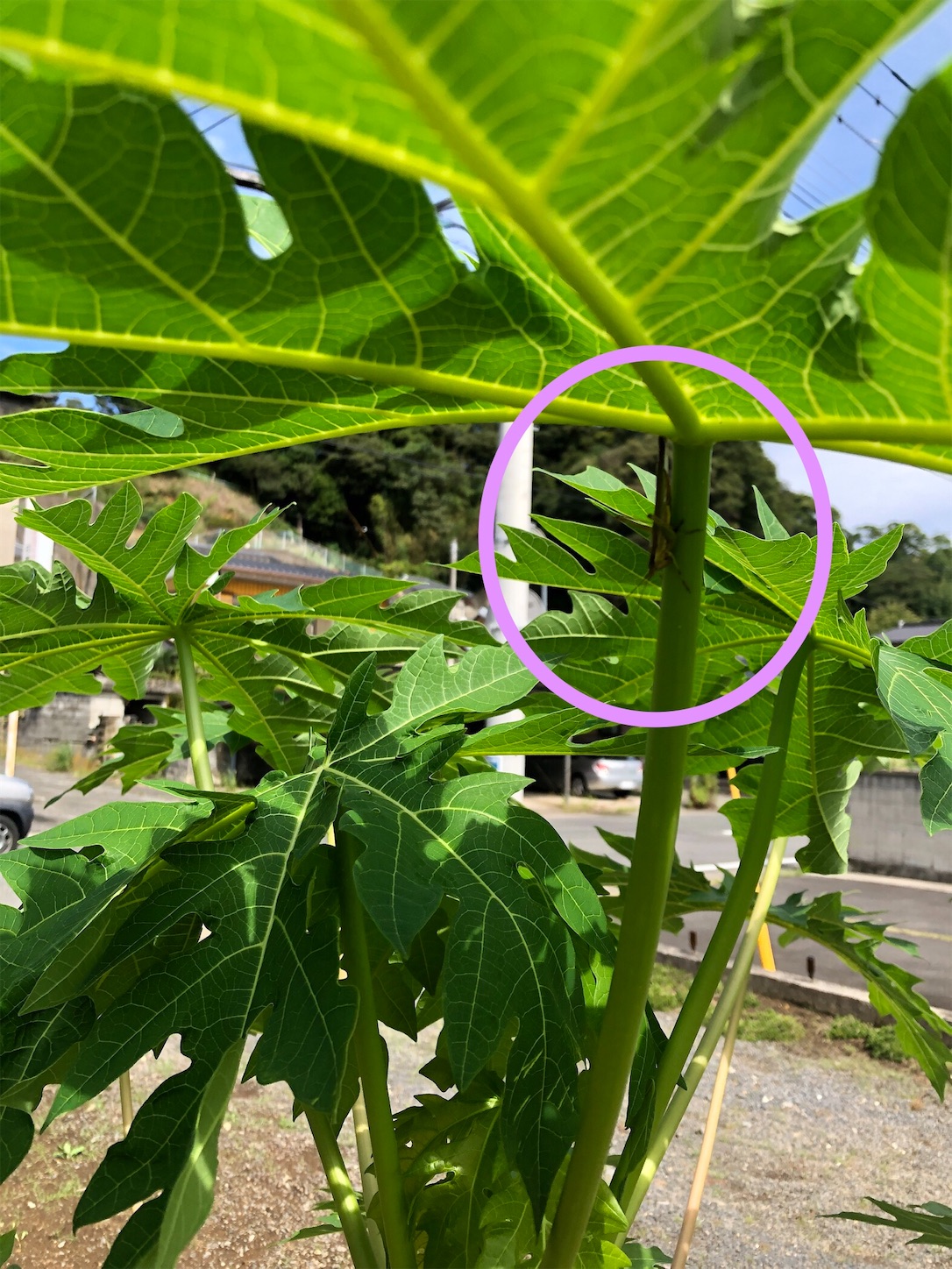 f:id:diving11874tan:20230520140434j:image