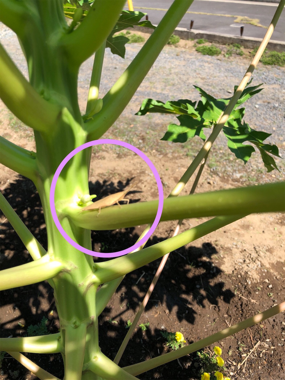 f:id:diving11874tan:20230520140438j:image