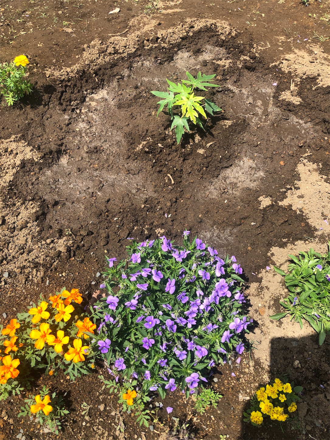 f:id:diving11874tan:20230520140708j:image