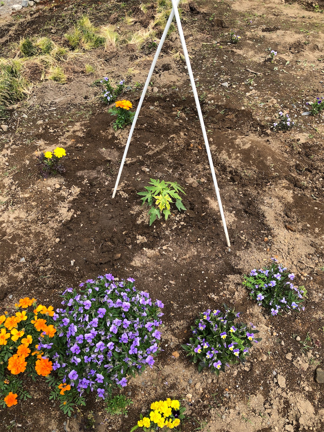 f:id:diving11874tan:20230530041453j:image