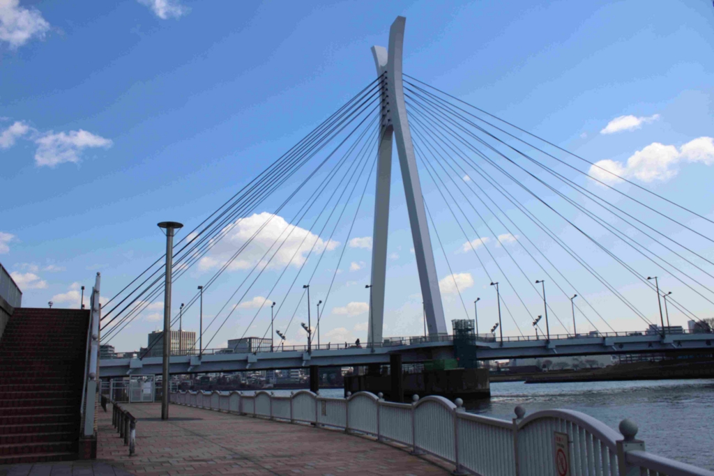 f:id:diyk:20170318220007j:plain f:id:diyk:20170318220007j:plain