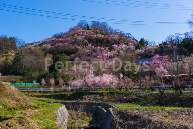 f:id:dizionario:20180402181048j:plain f:id:dizionario:20180402181048j:plain