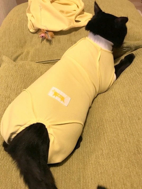 エリザベスウエア皮膚保護服