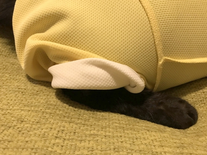 エリザベスウエア皮膚保護服
