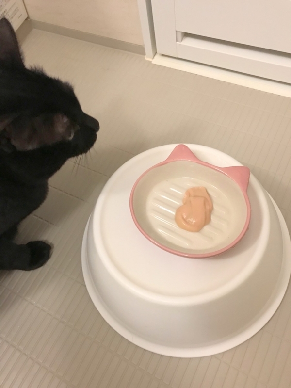 アトピカ内用液を飲んだあとのちゅーる