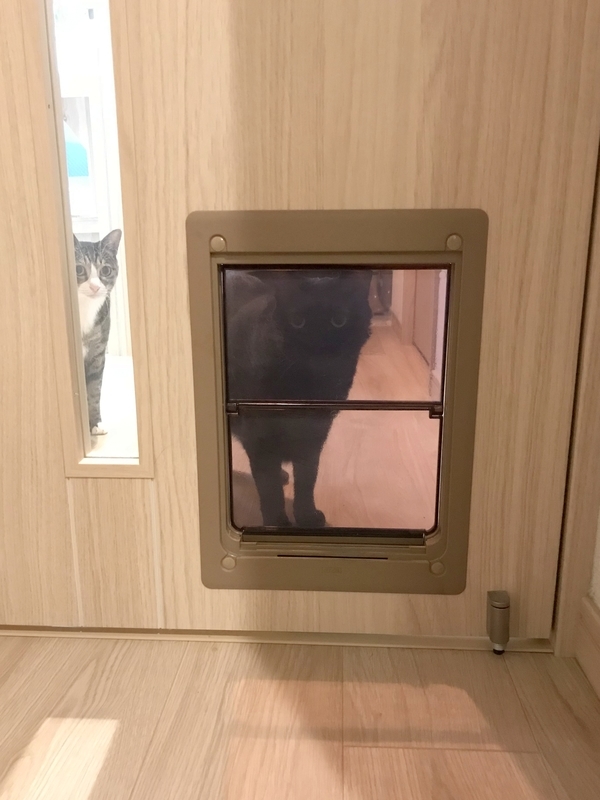 マンションの猫用ペットドア