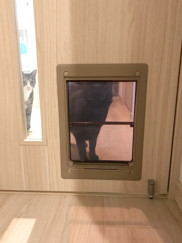 マンションの猫用ペットドア