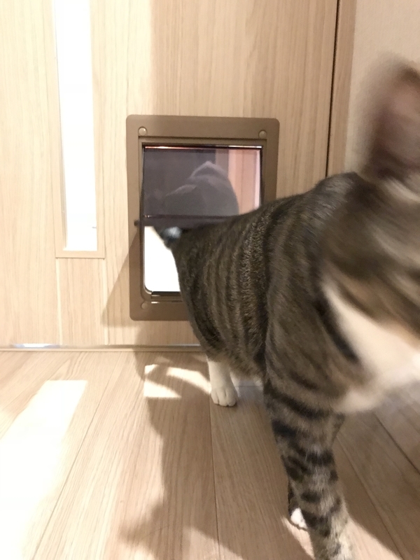 マンションの猫用ペットドア