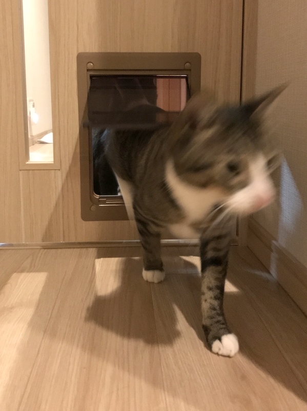 マンションの猫用ペットドア