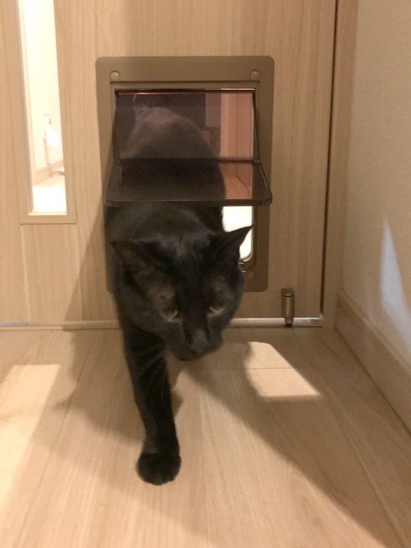 マンションの猫用ペットドア