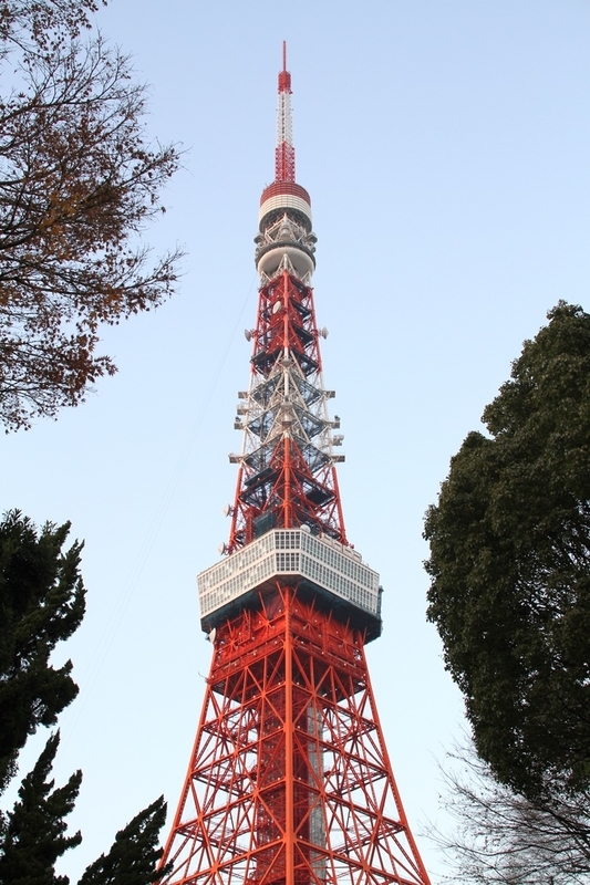 【東京】初めて登った東京タワーの写真