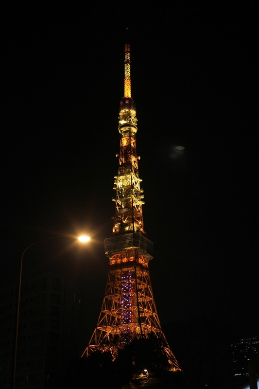 【東京】初めて登った東京タワーの写真