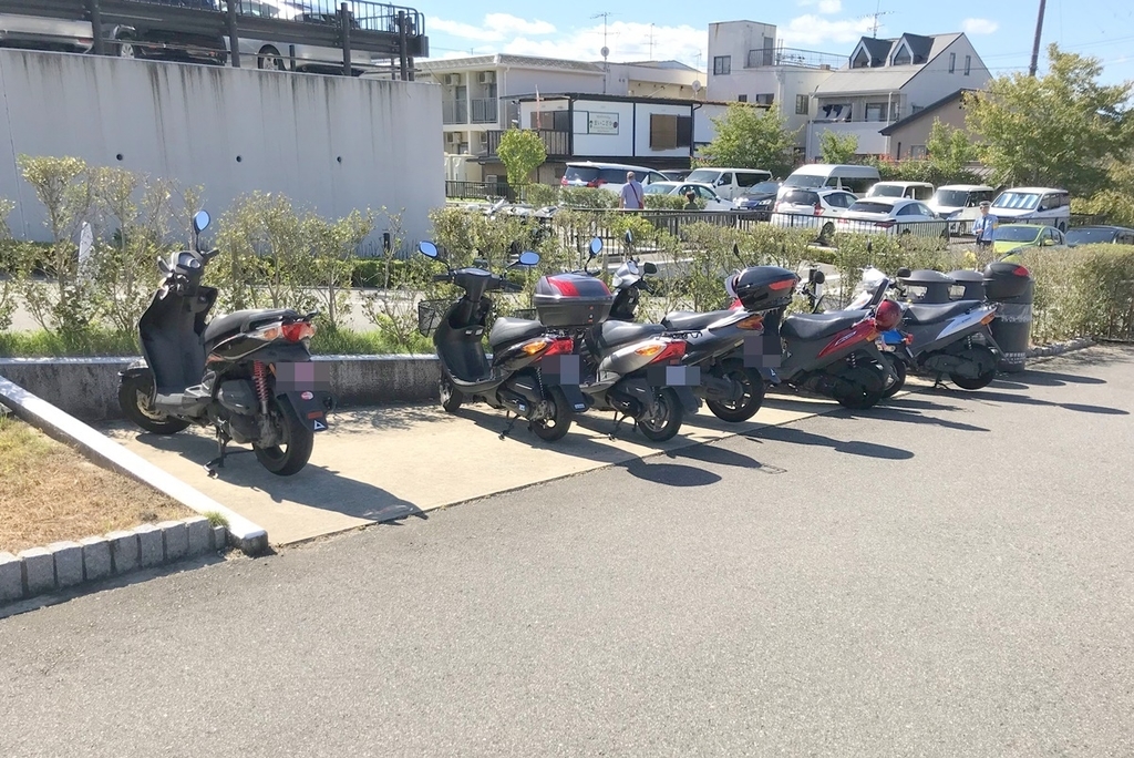 京都 伏見 伏見稲荷大社を頂上まで登る 時間やルート 千本鳥居以外にオススメの見どころを紹介 Djモペのねこまんま