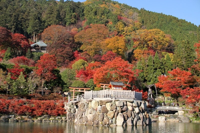 勝尾寺の紅葉