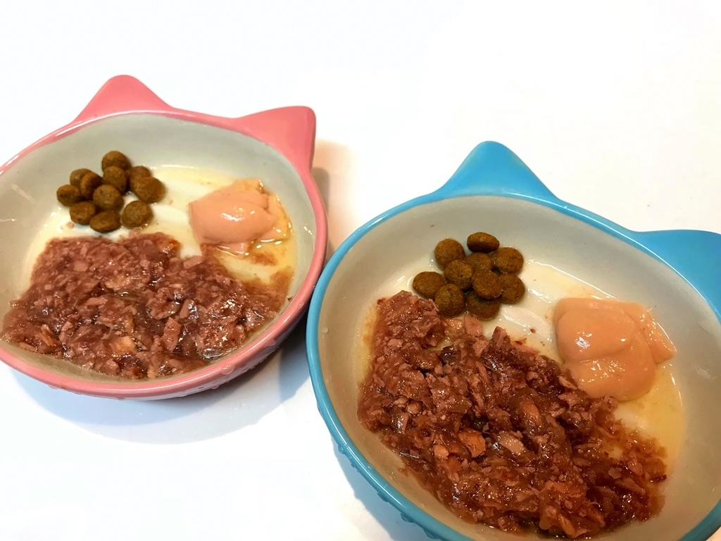 一汁一菜猫バージョン