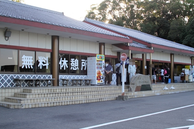 屋島寺