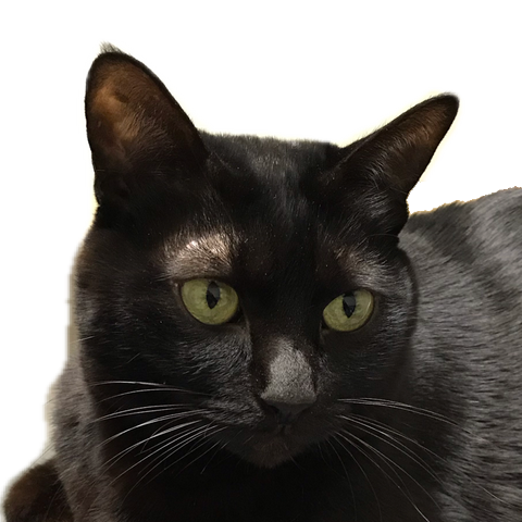 f:id:dj-mope:20190127145015p:plain f:id:dj-mope:20190127145015p:plain