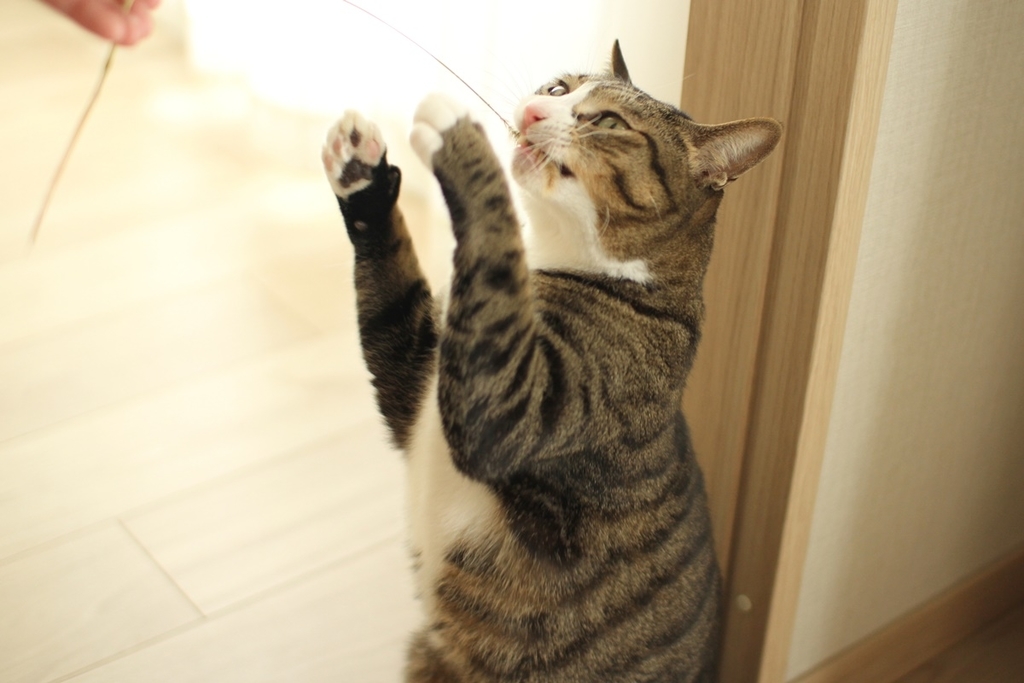 スクワットを始めたら足の冷えと足汗が解消されました