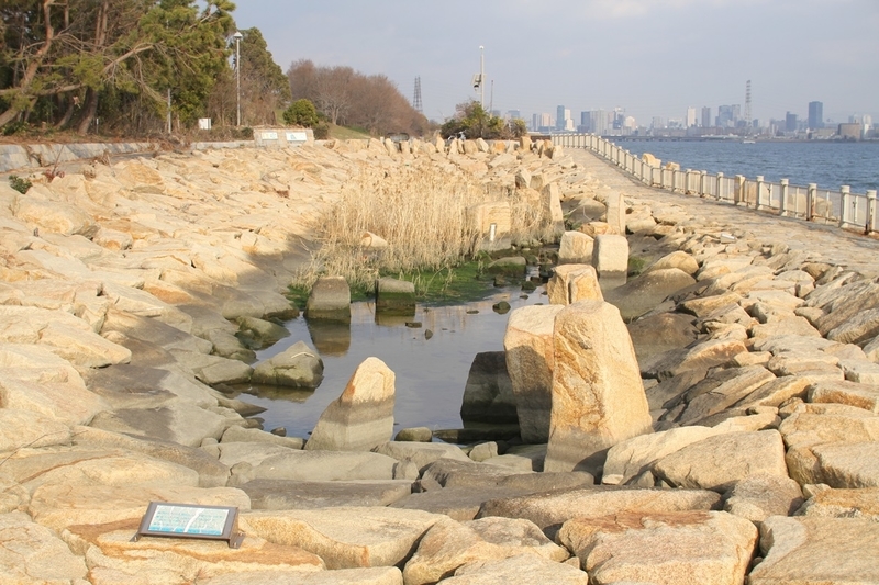 矢倉緑地公園