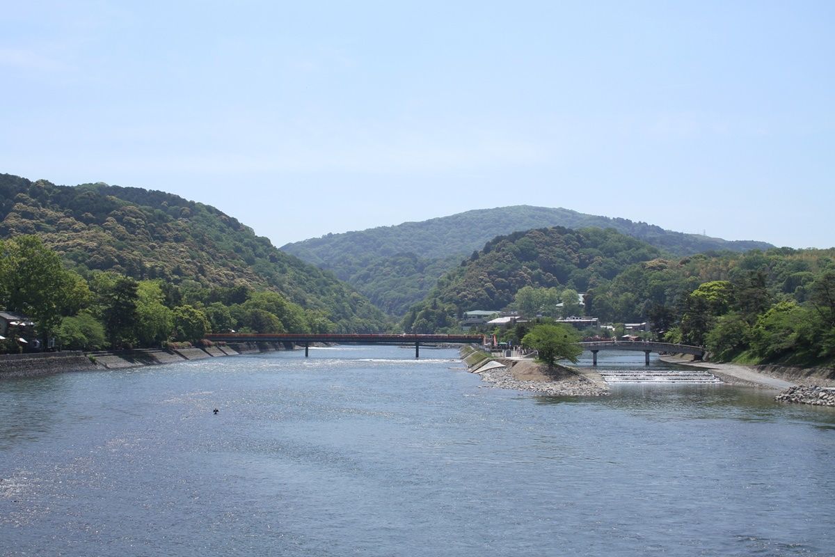 【京都・宇治】平等院の藤棚を眺める！藤の見頃は4月下旬