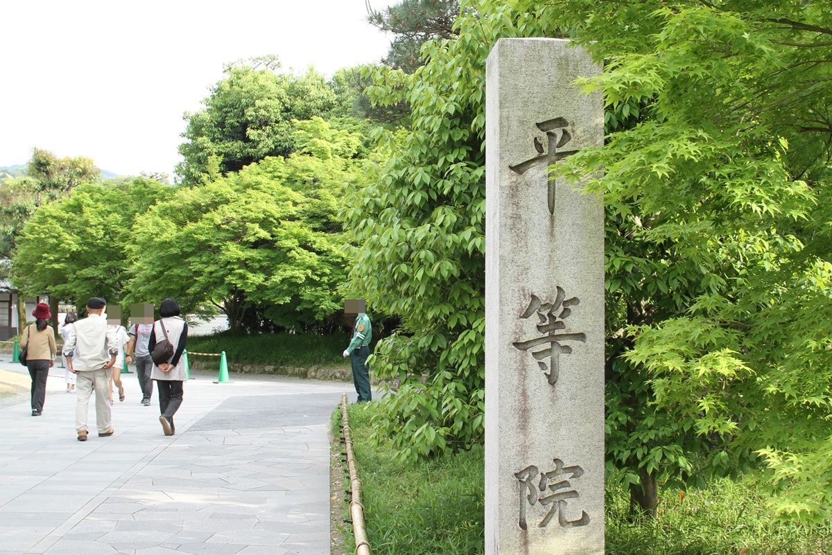 【京都・宇治】平等院の藤棚を眺める！藤の見頃は4月下旬